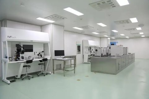 八月龄代生宝宝发育标准，成长里程的里程碑