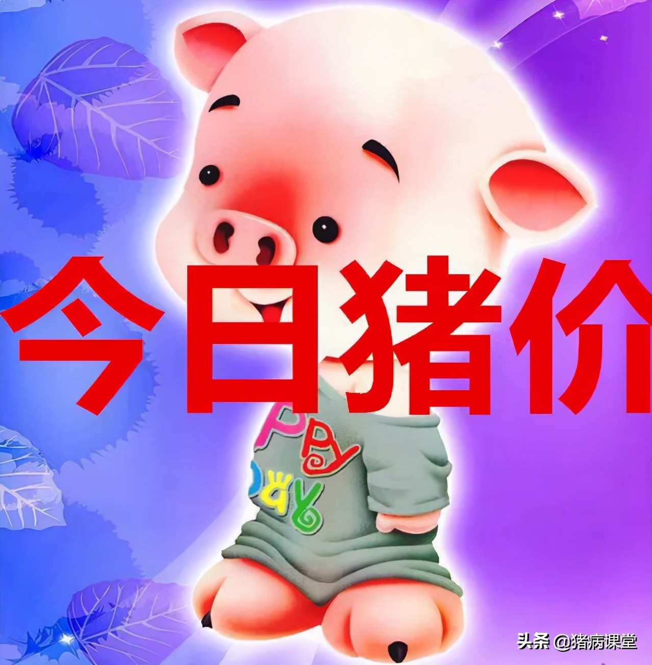 今日猪价：大雪纷飞，全国生猪价格强势反弹，春节前稳了