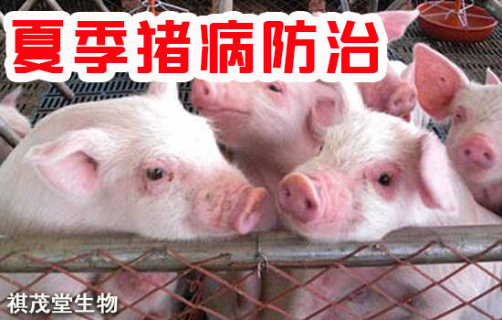 中国养猪业（猪用疫苗臻选交流峰会会议主题：诚挚邀请您共赴盛会）