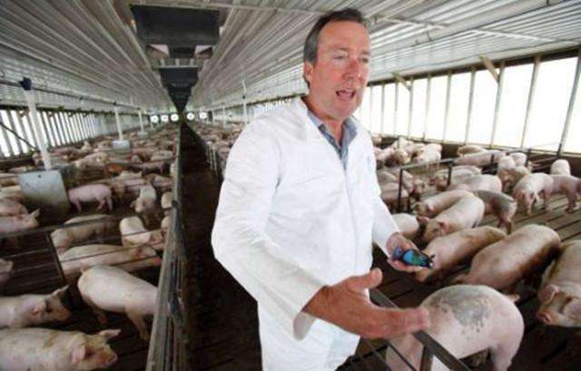 中国养猪业不能照抄美国模式，否则，那么多农村养猪人怎么办？