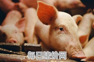 2023-11-9今日猪价，四川省最新猪价，四川省生猪价格行情图表（单位：元/斤）