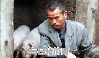 2023-11-13今日猪价，河北省最新猪价，河北省生猪价格行情图表（单位：元/斤）