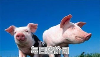 2023-11-21今日猪价，海南省最新猪价，海南省生猪价格行情图表（单位：元/斤）