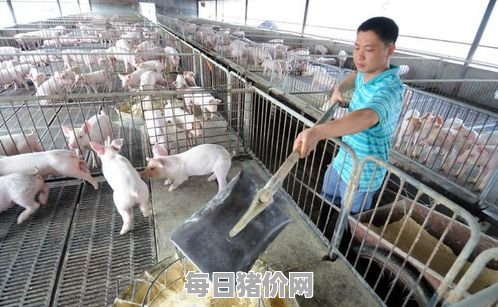2023-11-22今日猪价，黑龙江省最新猪价，黑龙江省生猪价格行情图表（单位：元/斤）