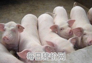 2023-11-30今日猪价，海南省最新猪价，海南省生猪价格行情图表（单位：元/斤）