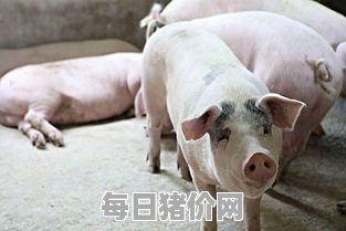 2023-12-2今日猪价，北京市最新猪价，北京市生猪价格行情图表（单位：元/斤）
