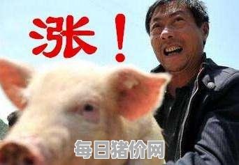 2023-12-7今日猪价，浙江省最新猪价，浙江省生猪价格行情图表（单位：元/斤）