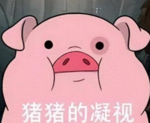 西方资本在中国养猪市场的&amp;quot;圈地运动&amp;quot;：谁来守护我们猪肉安全？
