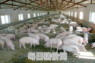 猪场,规模化养猪场建设标准