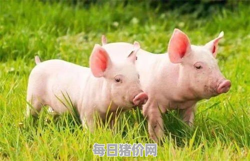 2024-03-19今日猪价，山西省最新猪价，山西省生猪价格行情图表（单位：元/斤）