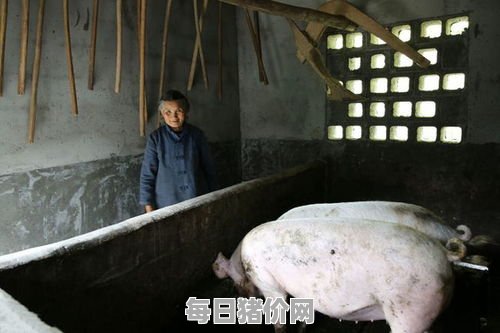 2024-03-30今日猪价，江西省最新猪价，江西省生猪价格行情图表（单位：元/斤）