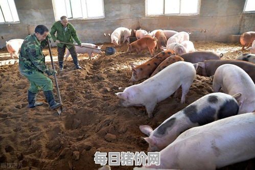 2024-04-1今日猪价，内蒙古最新猪价，内蒙古生猪价格行情图表（单位：元/斤）