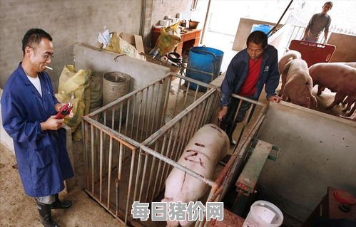2024-04-18今日猪价，海南省最新猪价，海南省生猪价格行情图表（单位：元/斤）