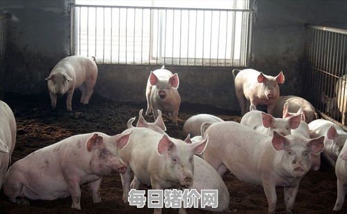 2024-05-9今日猪价，广东省最新猪价，广东省生猪价格行情图表（单位：元/斤）