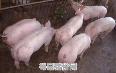 今日仔猪价格：2024年5月5日安徽省仔猪价格表