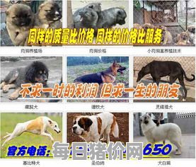 全国最大肉狗养殖基地,中国最大最正规的肉狗养殖基地是哪个