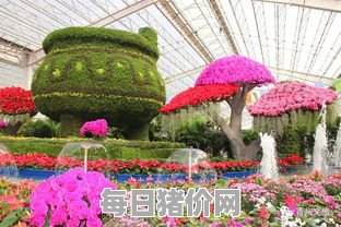 青州花博会（青州花博会2024）