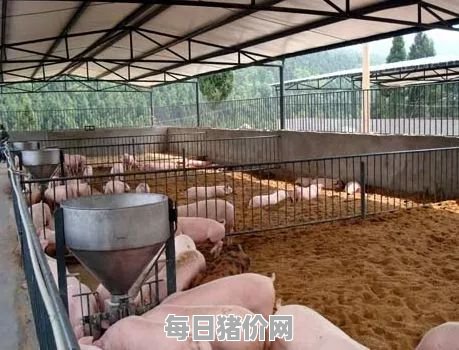 养猪场找养工人,请问广东哪里养猪场要工人养猜吗