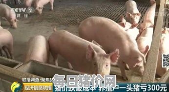 猪价养殖成本,一头猪到出栏成本多少